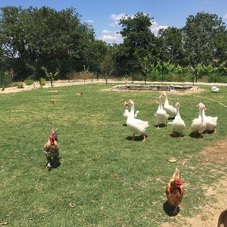 Masia Can Canyes & Spa San Lorenzo de Hortóns Εξωτερικό φωτογραφία